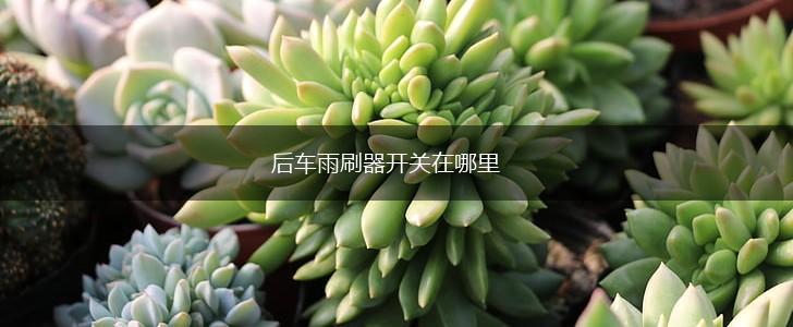 后车雨刷器开关在哪里,第1张