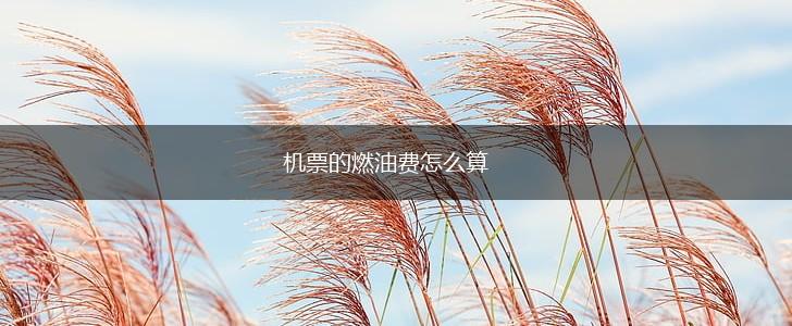 机票的燃油费怎么算,第1张