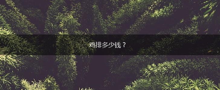 鸡排多少钱？,第1张