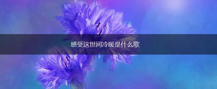感受这世间冷暖是什么歌,第1张
