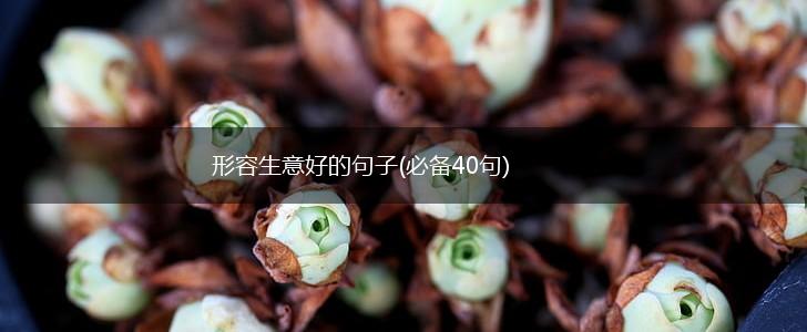 形容生意好的句子(必备40句),第1张