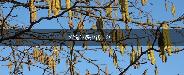 双沟酒多少钱一瓶,第1张