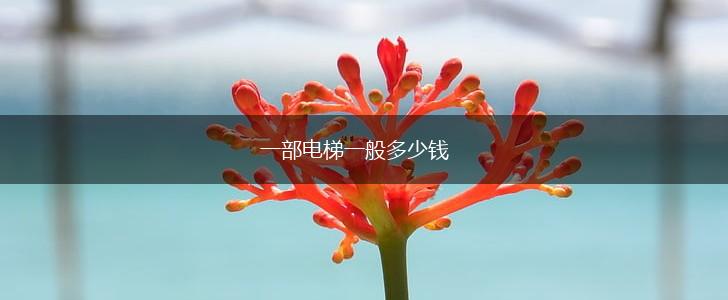 一部电梯一般多少钱,第1张
