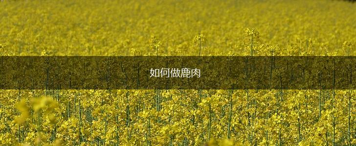 如何做鹿肉,第1张