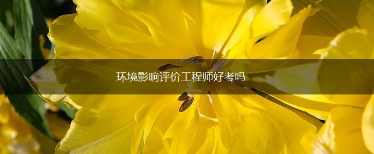 环境影响评价工程师好考吗,第1张