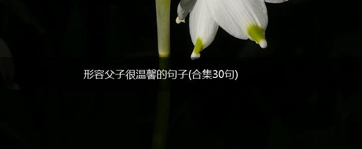 形容父子很温馨的句子(合集30句),第1张