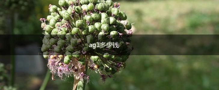 ag1多少钱,第1张