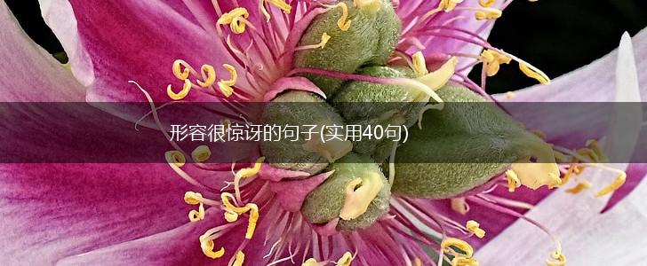 形容很惊讶的句子(实用40句),第1张