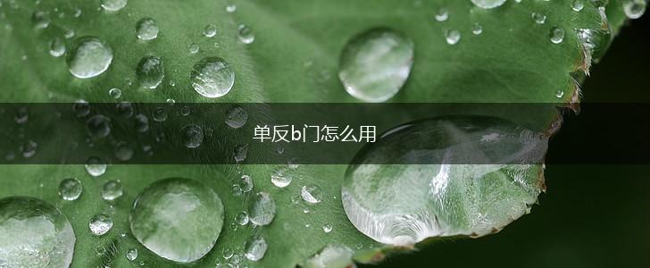 单反b门怎么用,第1张