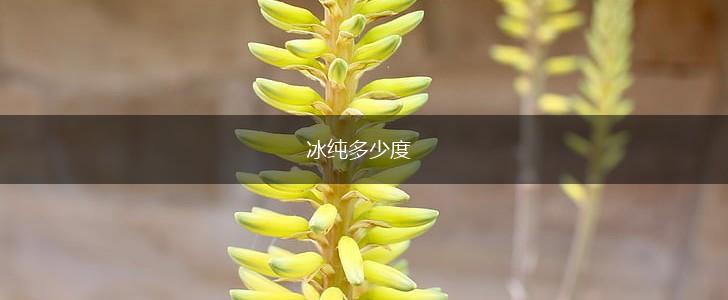 冰纯多少度,第1张