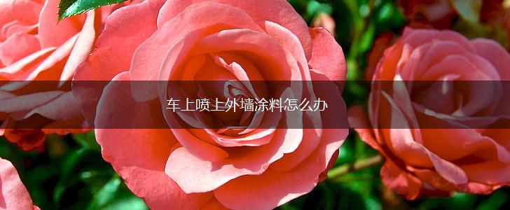 车上喷上外墙涂料怎么办,第1张
