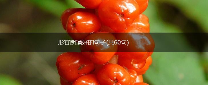 形容朗诵好的句子(共60句),第1张