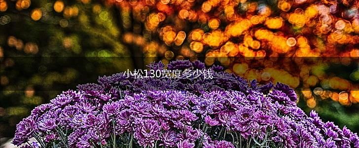 小松130宽度多少钱,第1张