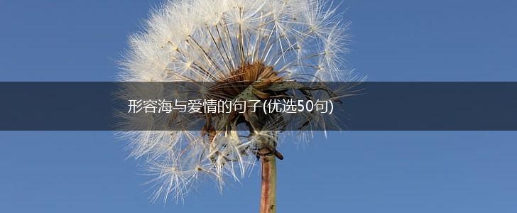 形容海与爱情的句子(优选50句),第1张