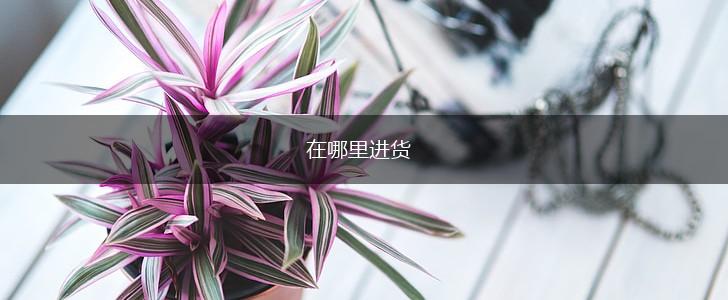 在哪里进货,第1张