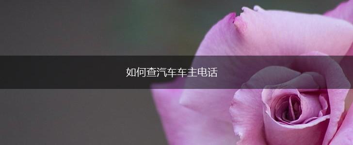如何查汽车车主电话,第1张