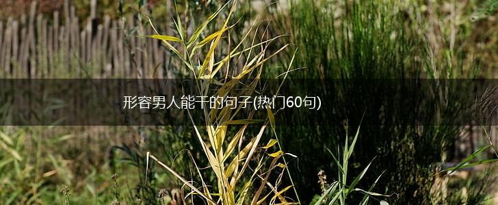 形容男人能干的句子(热门60句),第1张