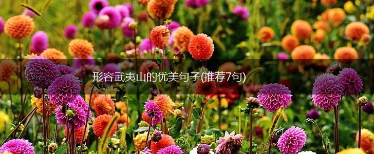 形容武夷山的优美句子(推荐7句),第1张