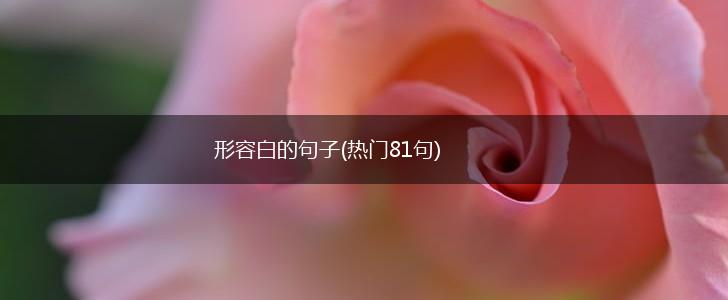 形容白的句子(热门81句),第1张