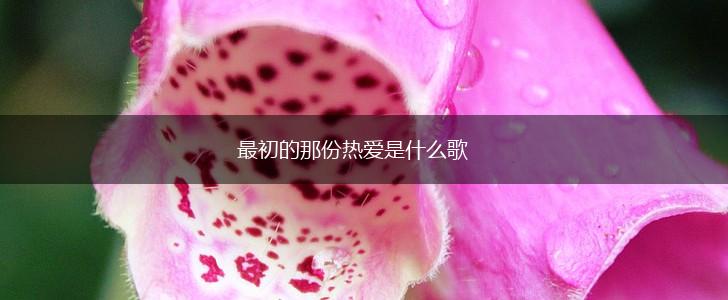 最初的那份热爱是什么歌,第1张