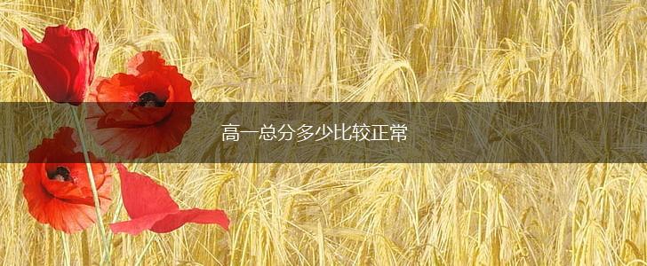 高一总分多少比较正常,第1张