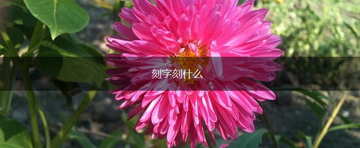 刻字刻什么,第1张