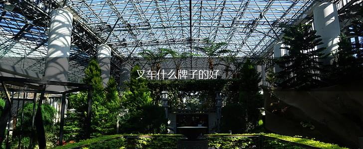 叉车什么牌子的好,第1张