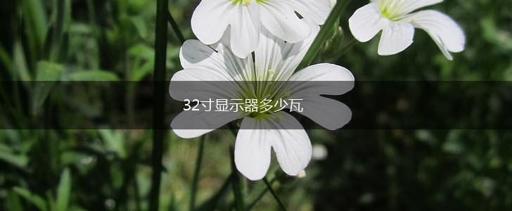 32寸显示器多少瓦,第1张