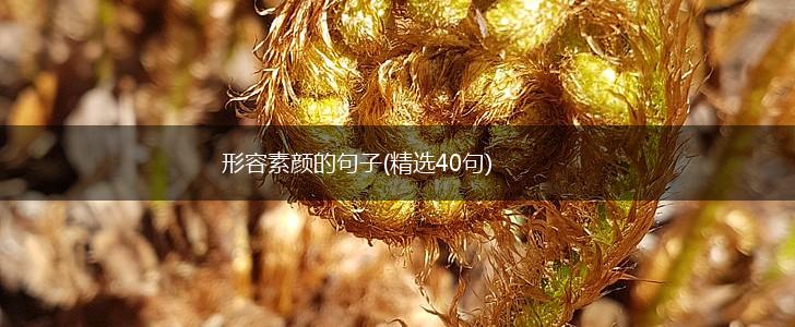 形容素颜的句子(精选40句),第1张