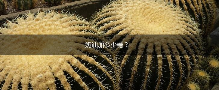 奶油加多少糖？,第1张
