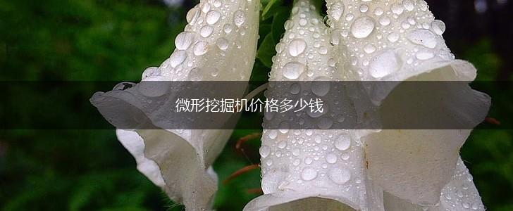微形挖掘机价格多少钱,第1张