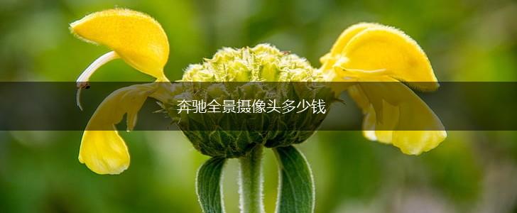 奔驰全景摄像头多少钱,第1张