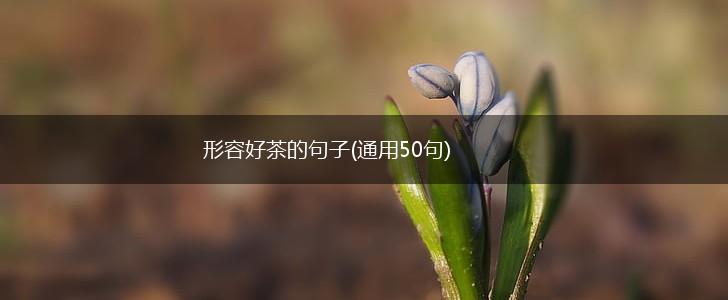 形容好茶的句子(通用50句),第1张
