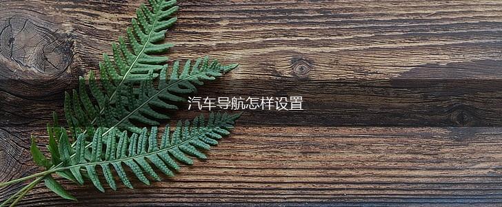 汽车导航怎样设置,第1张