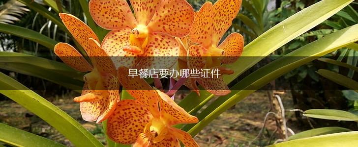 早餐店要办哪些证件,第1张