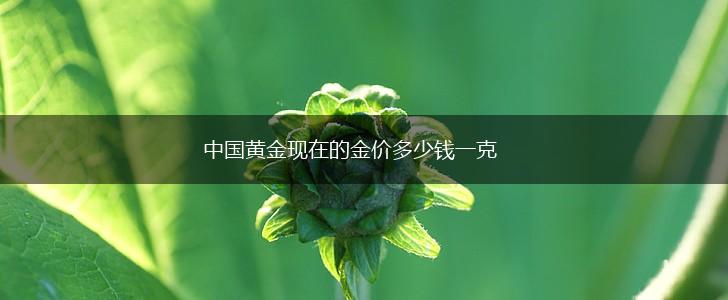 中国黄金现在的金价多少钱一克,第1张