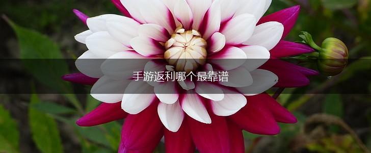 手游返利哪个最靠谱,第1张