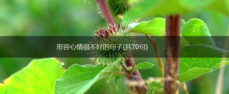 形容心情很不好的句子(共70句),第1张