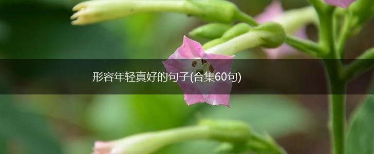 形容年轻真好的句子(合集60句),第1张