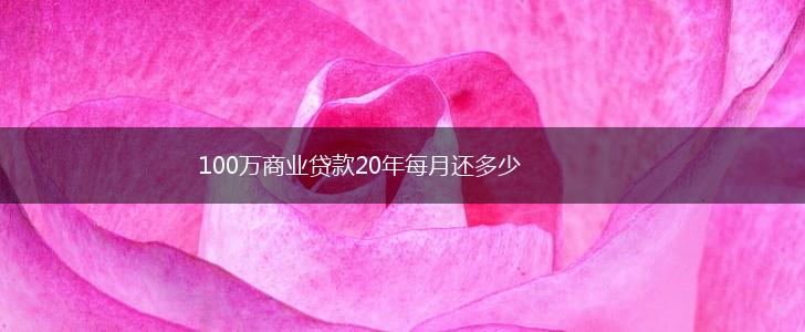100万商业贷款20年每月还多少,第1张