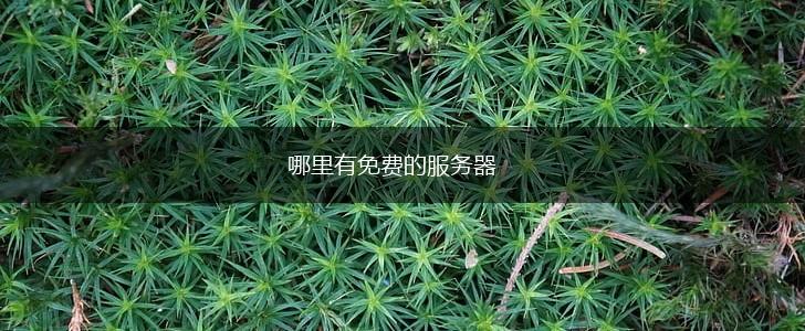 哪里有免费的服务器,第1张