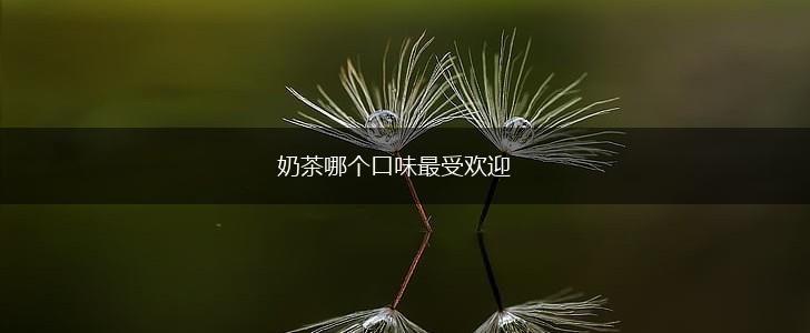奶茶哪个口味最受欢迎,第1张