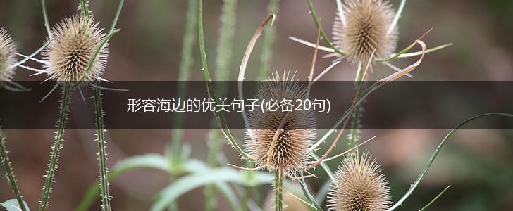 形容海边的优美句子(必备20句),第1张