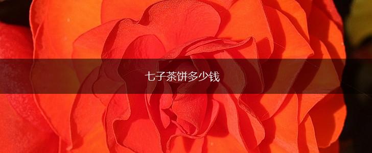 七子茶饼多少钱,第1张