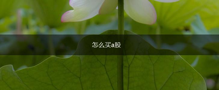 怎么买a股,第1张