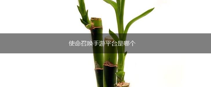 使命召唤手游平台是哪个,第1张