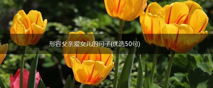 形容父亲爱女儿的句子(优选50句),第1张