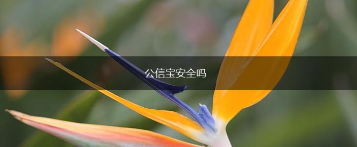 公信宝安全吗,第1张