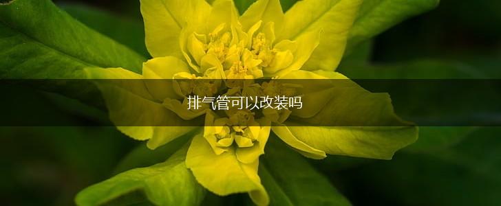 排气管可以改装吗,第1张