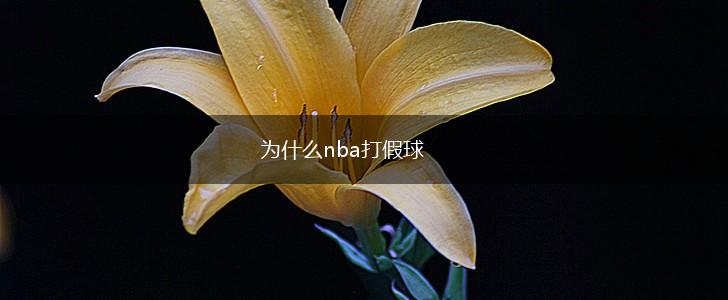 为什么nba打假球,第1张